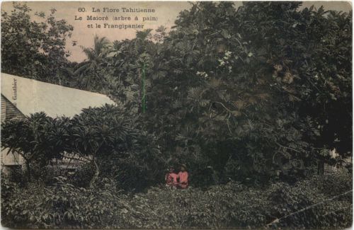 Tahiti - La Maiore