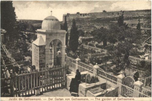 Garden of Gethsemane in Jerusalem