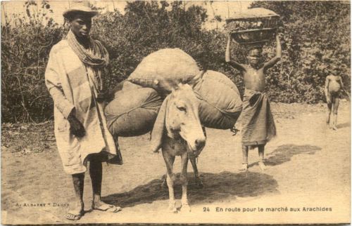 Senegal - En route pour le marche aux Arachides