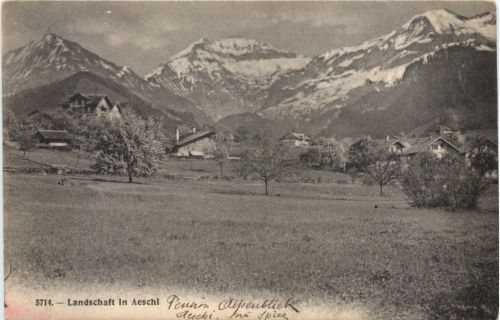 Landschaft in Aeschi