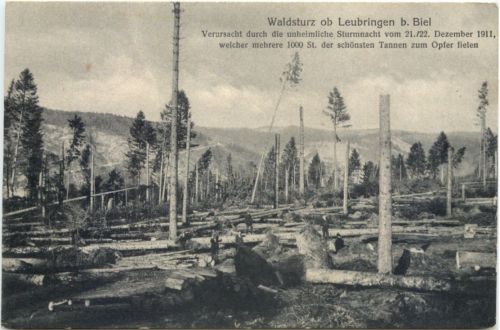 Waldsturz ob Leubringen bei Biel