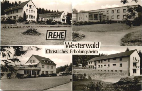 Rehe Westerwald