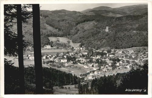 Waldkirch im Breisgau