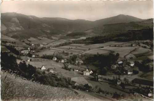 Yach bei Elzach - Schwarzwald