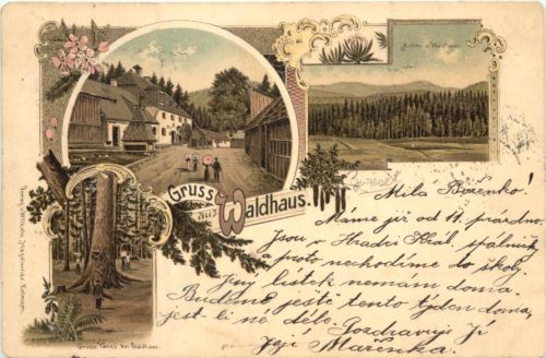 Gruss aus Waldhaus bei Zwiesel - Litho