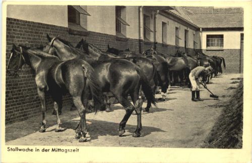 Wehrmacht - Stallwache in der Mittagszeit - 3. Reich
