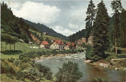 Kirschbaumwasen im Murgtal