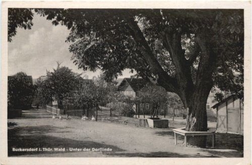 Burkersdorf - Unter der Dorflinde