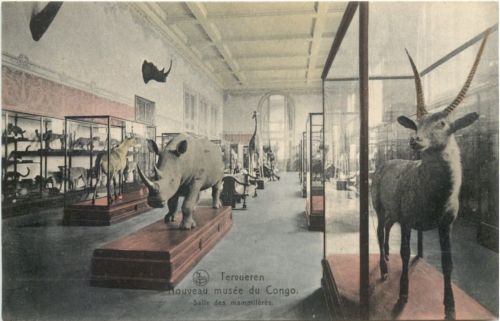 Tervueren - Nouveau musee du Congo
