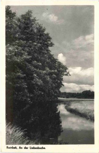 Reinbek - An der Liegesbuche
