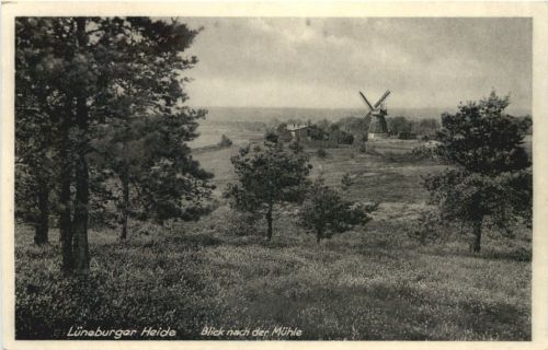 Lüneberger Heide - Blick nach der Mühle in Ramelsloh