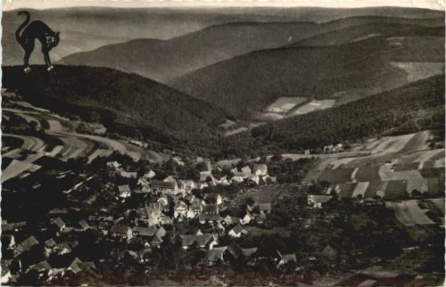 Waldkatzenbach im Odenwald