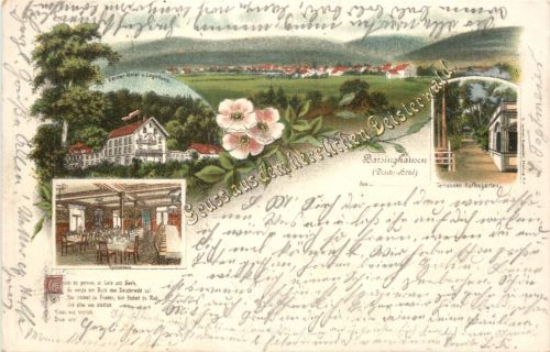 Barsinghausen - Gruss aus dem Deisterwald - Litho