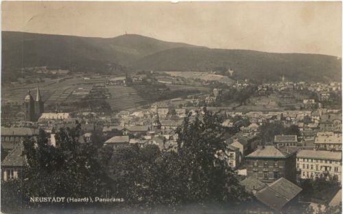 Neustadt Haardt -