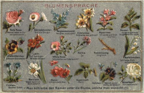 Blumensprache