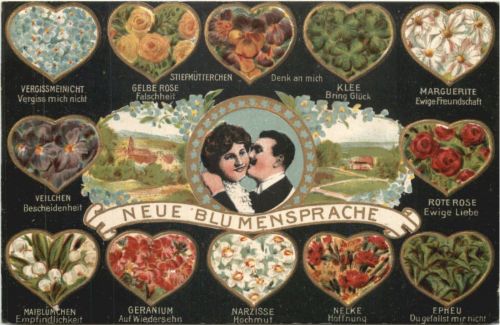 Neue Blumensprache