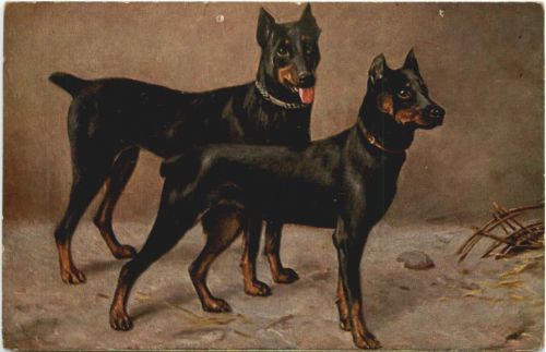 Hunde