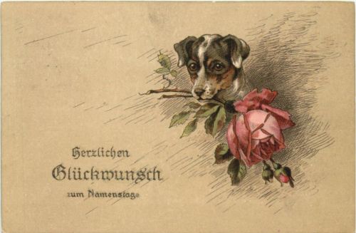 Hund - Namenstag