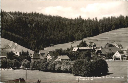 Schönwald Schwarzwald