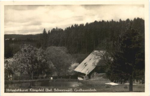 Königsfeld - Großbauernlinde