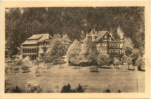 Herrenalb - Falkenburg