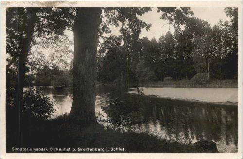 Birkenhof bei Greiffenberg in Schlesien