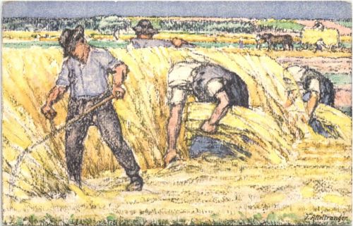 Bundesfeier Postkarte 1920