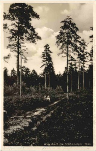 Schömberg - Heide