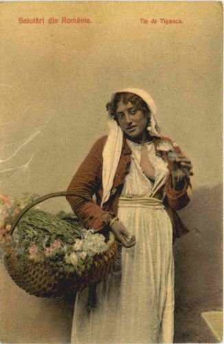 Salutari din Romania - Tip de Tiganca