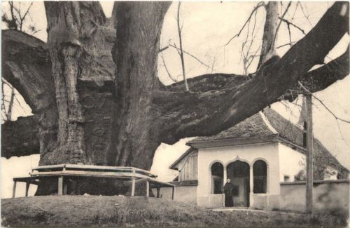 Bremgarten - Einsiedelei Emaus mit Riesenlinde