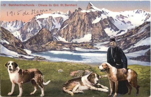 Bernahrdinerhunde