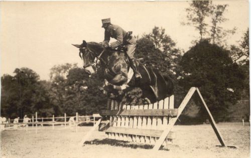 Springreiten