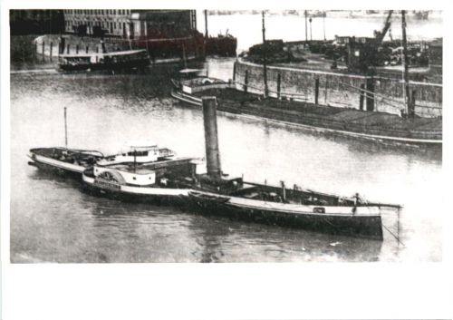 Ship Dampfer Joh. Kniepscheer - Ludwigshafen