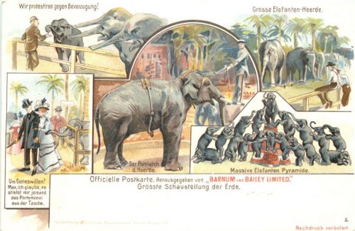 Zirkus - Barnum and Bailey Limited - Litho