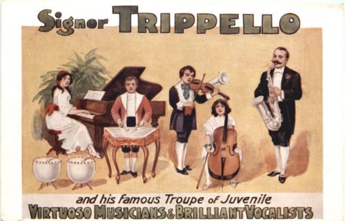 Musik - Signoe Trippello