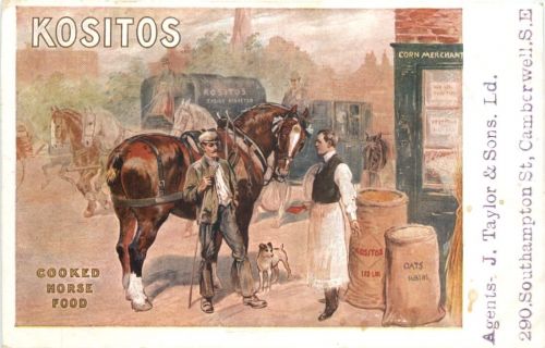 Werbung - Kositos - Cooked Horse Food