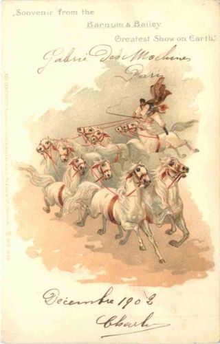 Zirkus - Barnum & Bailey - Litho