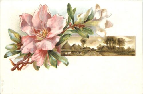 Blume - Litho