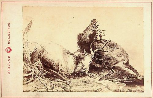 The combat Künstler Ansdell - CDV