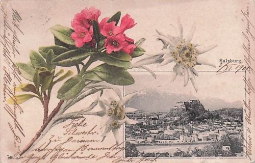 Photochromie und Lichtdruck - Salzburg