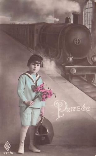 Pensée B 223/4