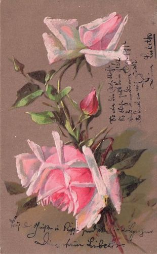 BLUMEN ROSE