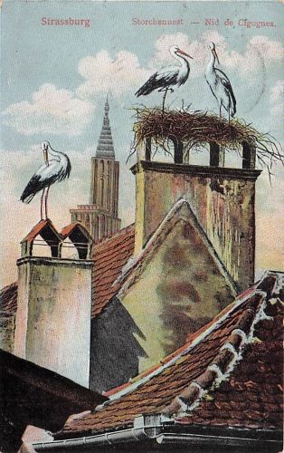 AK Strassburg, Strasbourg, Nid de Cicogne 1910/20er