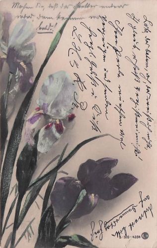 blumen