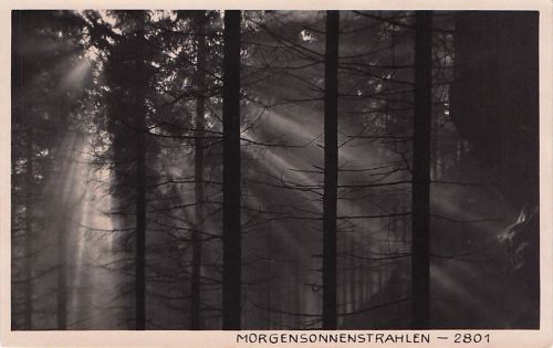 MORGENSONNENSTRAHLEN - 2801