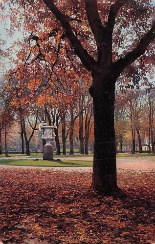 Dresden - Grosser Garten im Herbst