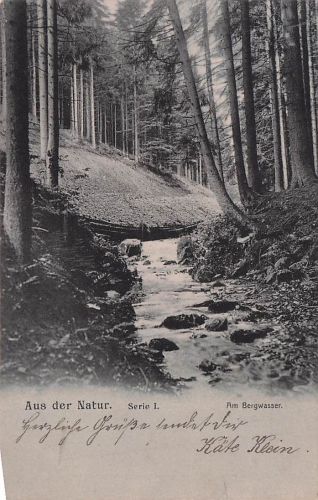 Aus der Natur. Serie L. Am Bergwasser.