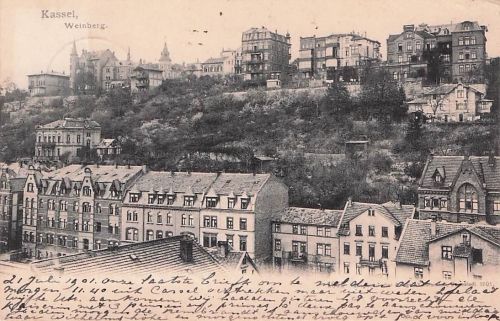 Ak Kassel in Hessen, Weinberg, Teilansicht