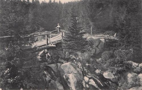 AK Schierke 1913 Partie am Eckerloch / Harz Brocken Braunlage