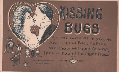 ANTIKES „KISSING BUGS“-POSTKARTENBUCH VON 1908 – NEUHEITEN-GRUSS VON MAX
